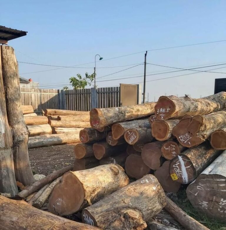 Kayu Jati